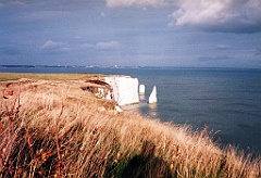 1996 - Angleterre 16